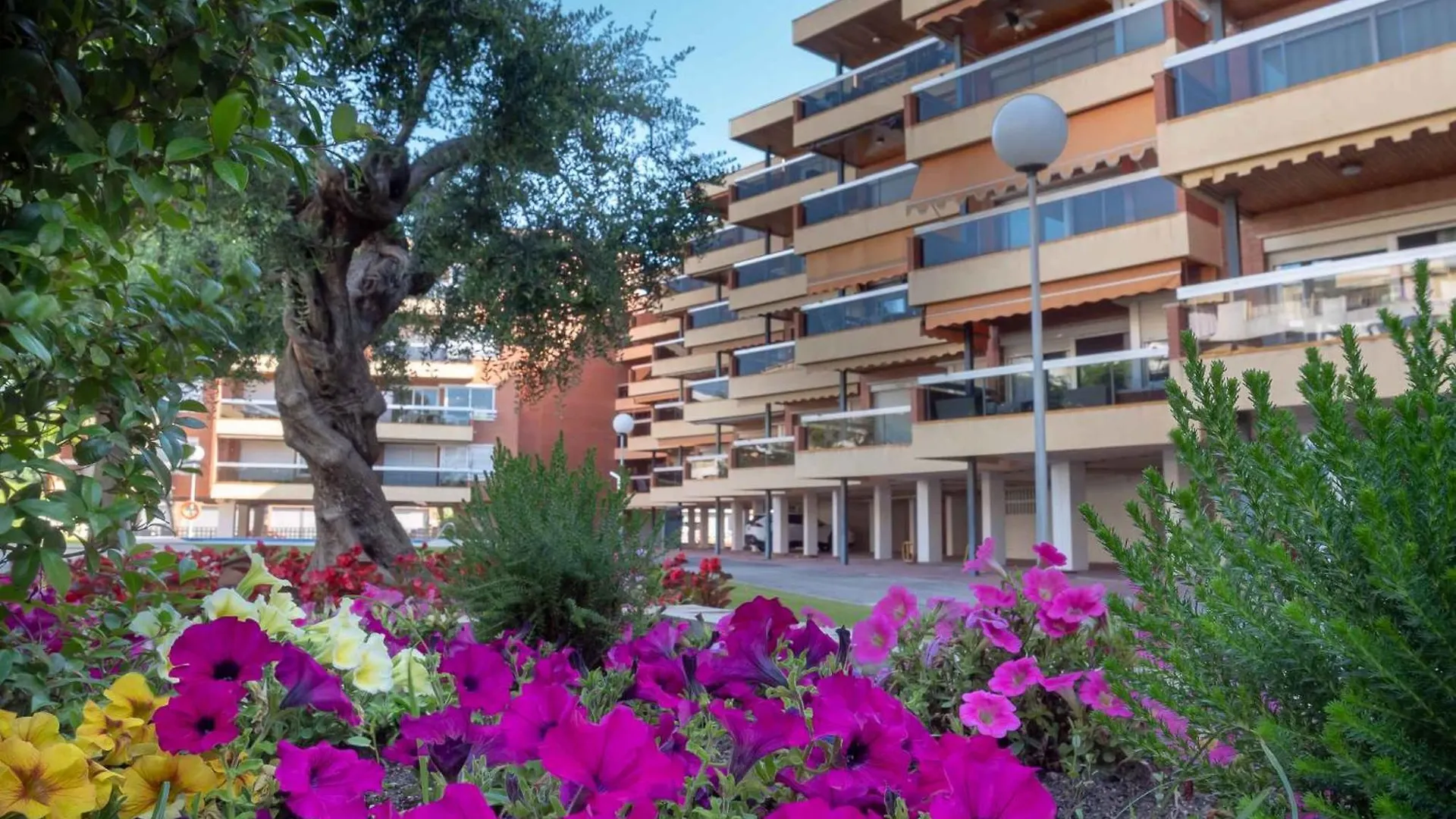 Apartments In Cambrils - Costa Dorada 45732 Espagne